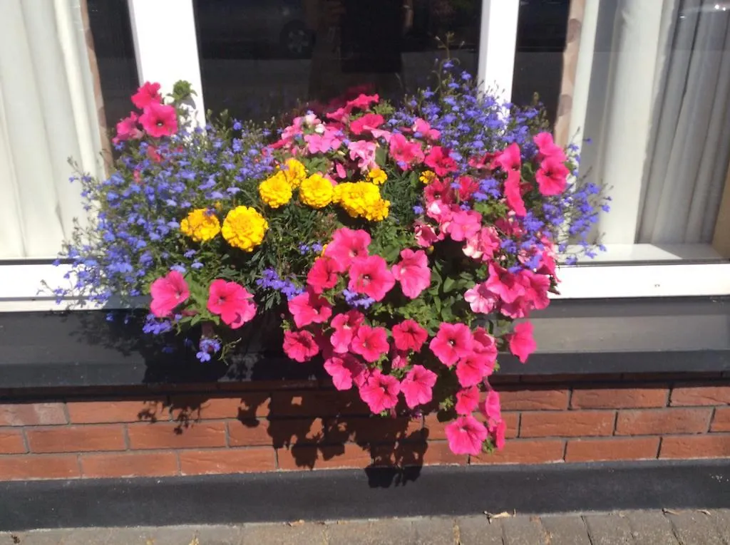 Westwinds Guestlodge Galway